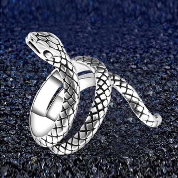 Jewelry - 🆕RETRO SILVER PLATED SNAKE RING